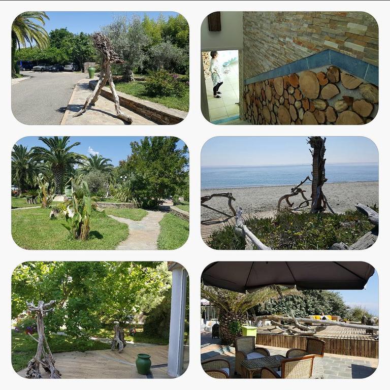 Hotel Levolle Marine Poggio Mezzana Exterior foto